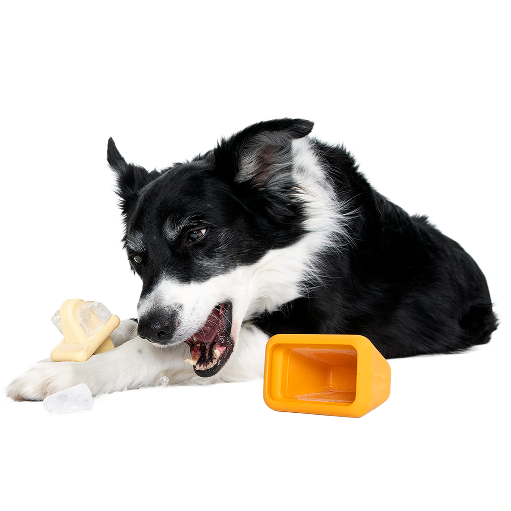 Make n' Munch Ice Pop Kit Super Chewer Durable Multi-Part Dog Toy