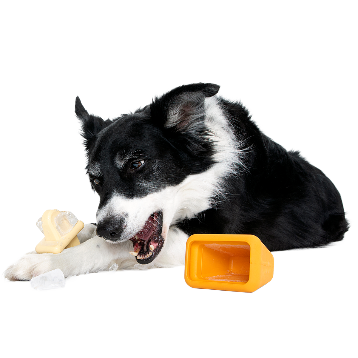 Make n' Munch Ice Pop Kit Super Chewer Durable Multi-Part Dog Toy