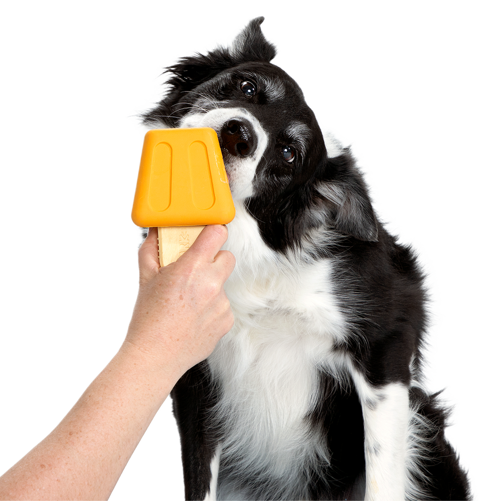 Make n' Munch Ice Pop Kit Super Chewer Durable Multi-Part Dog Toy