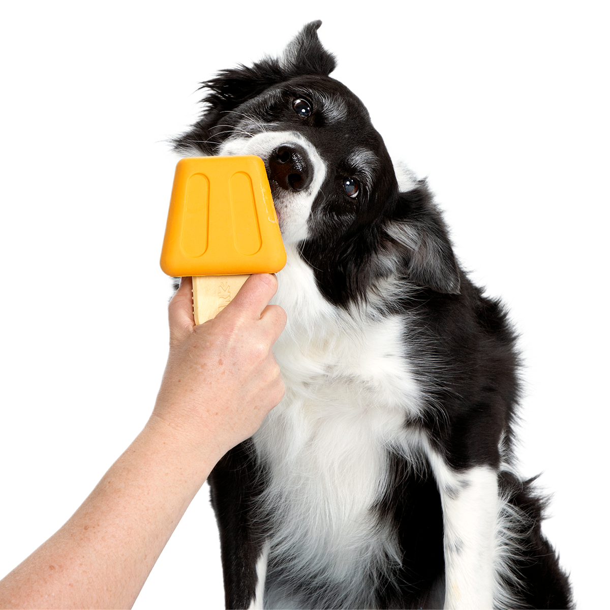Make n' Munch Ice Pop Kit Super Chewer Durable Multi-Part Dog Toy