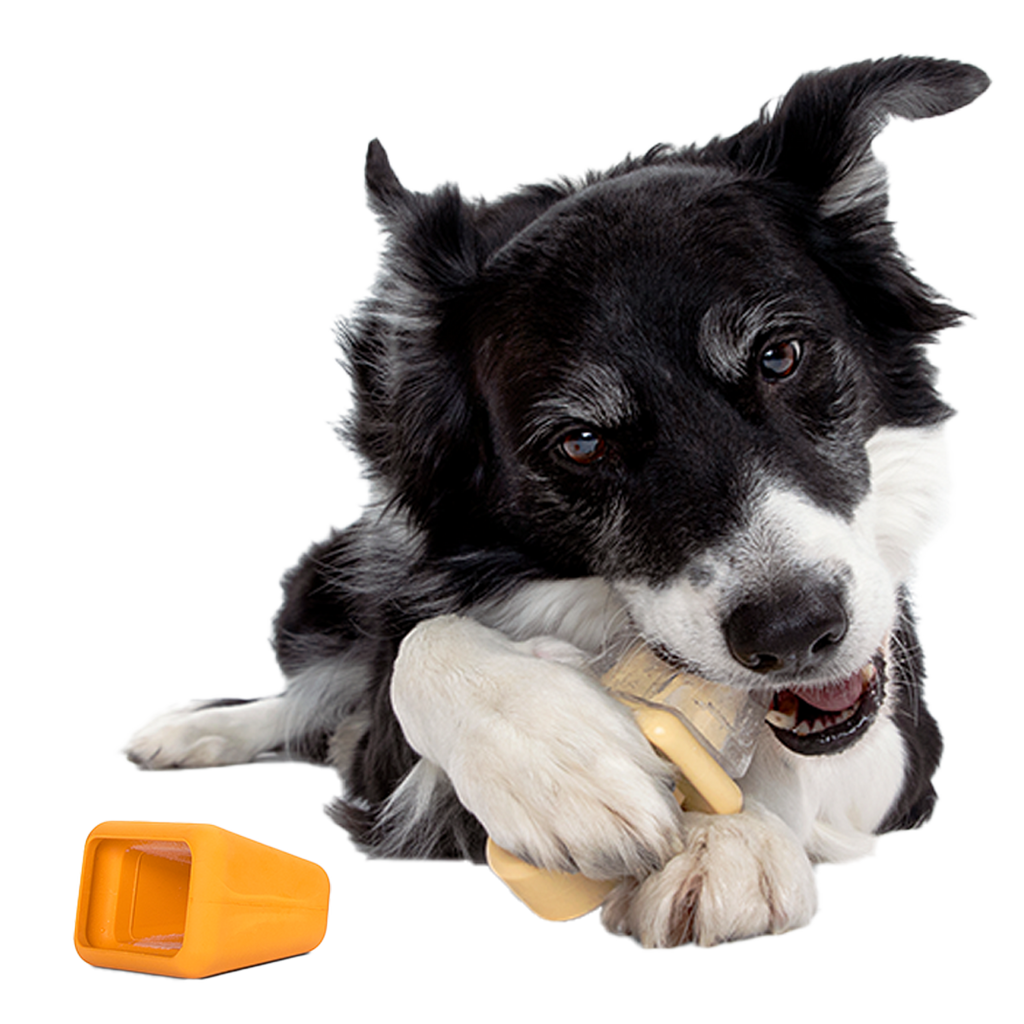 Make n' Munch Ice Pop Kit Super Chewer Durable Multi-Part Dog Toy