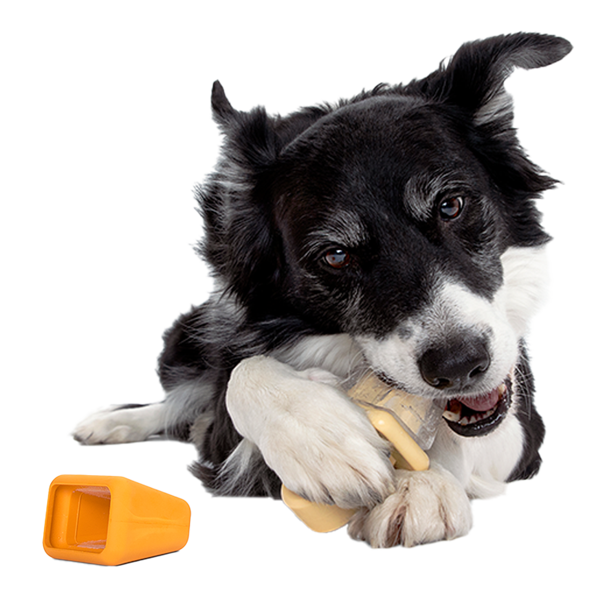 Make n' Munch Ice Pop Kit Super Chewer Durable Multi-Part Dog Toy