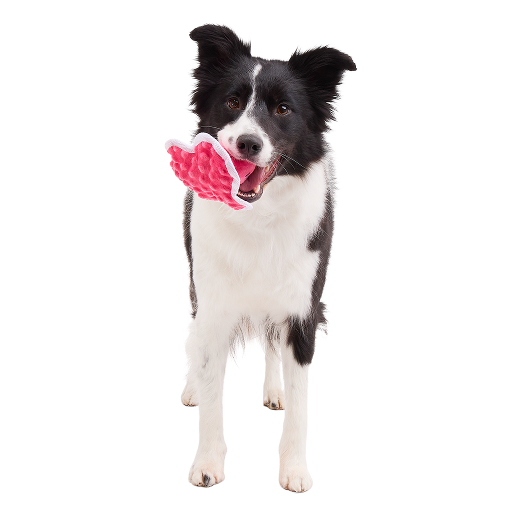 Melted Melanie Plush Tug Dog Toy