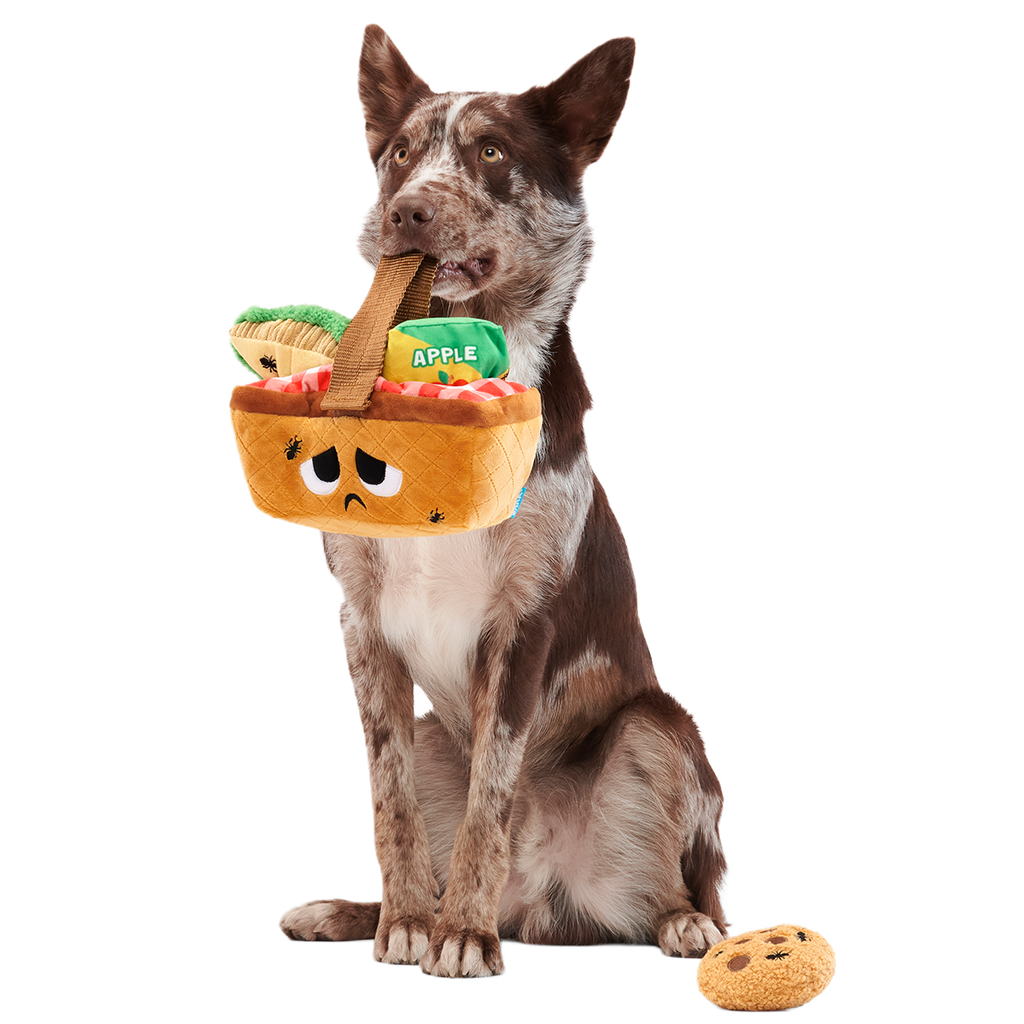 Quick Lick Picnic Plush Tug + Multi-Part + Enrichment Dog Toy