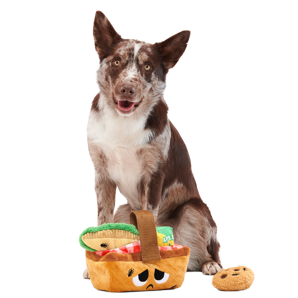 Quick Lick Picnic Plush Tug + Multi-Part + Enrichment Dog Toy