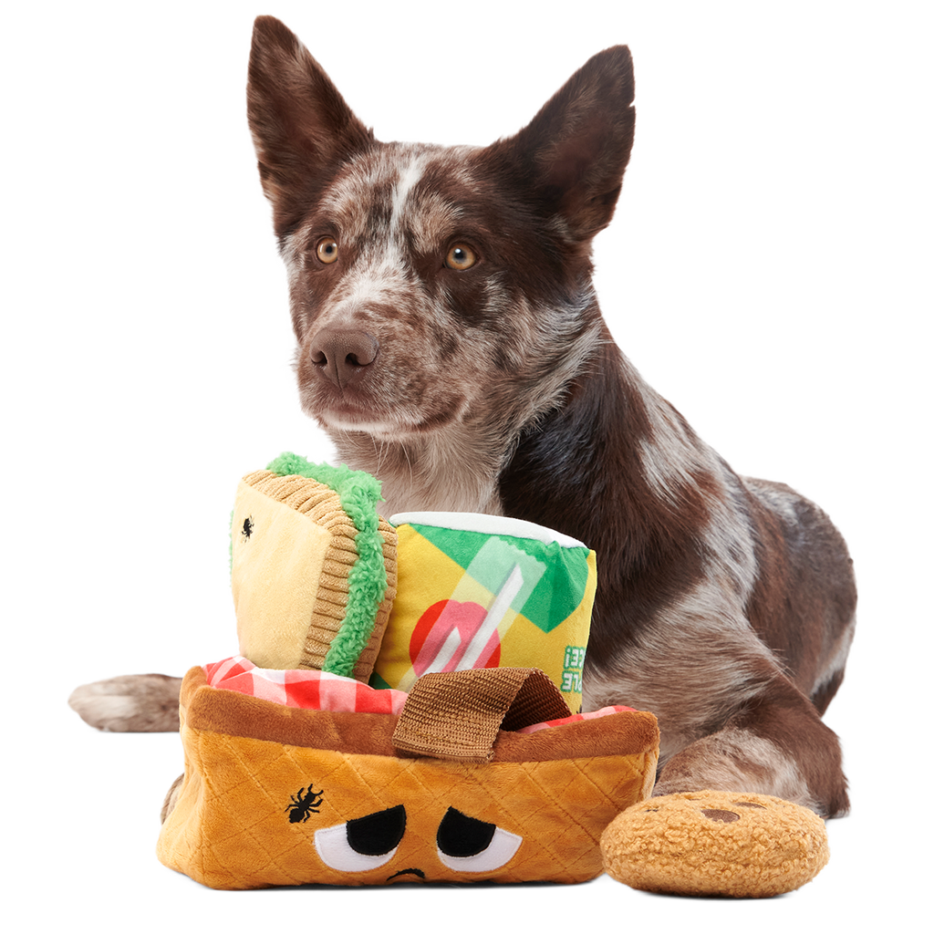Quick Lick Picnic Plush Tug + Multi-Part + Enrichment Dog Toy