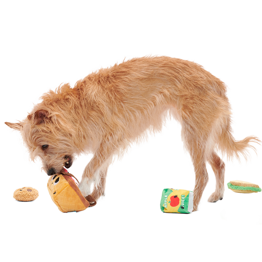 Quick Lick Picnic Plush Tug + Multi-Part + Enrichment Dog Toy