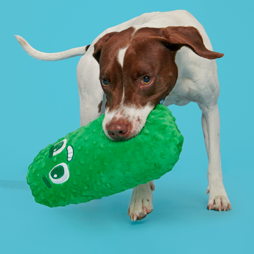 Big Dill Bill Plush Extra-Large + Tug Dog Toy