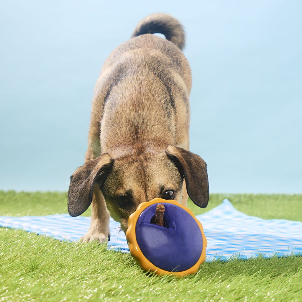 Blueberry Pie Super Chewer Durable Enrichment Dog Toy