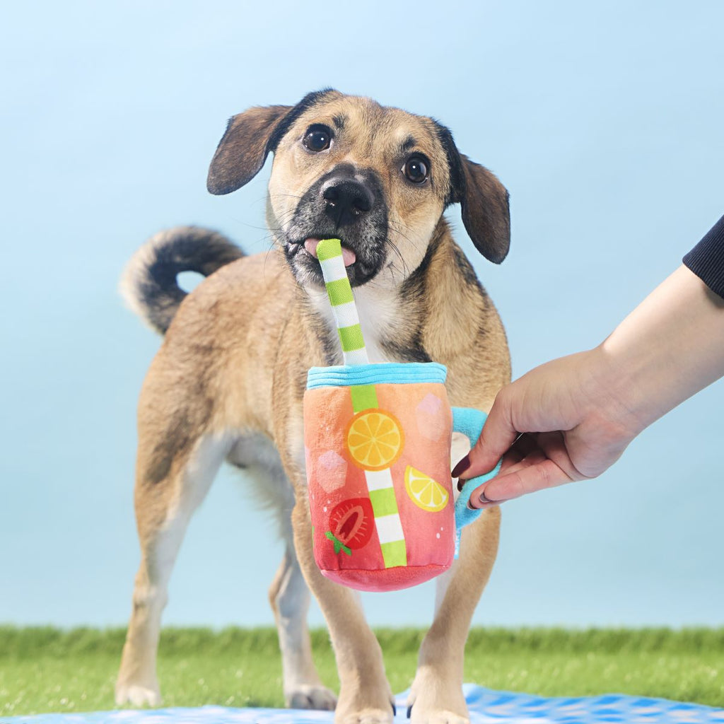 Spiked Punch Plush Tug Dog Toy