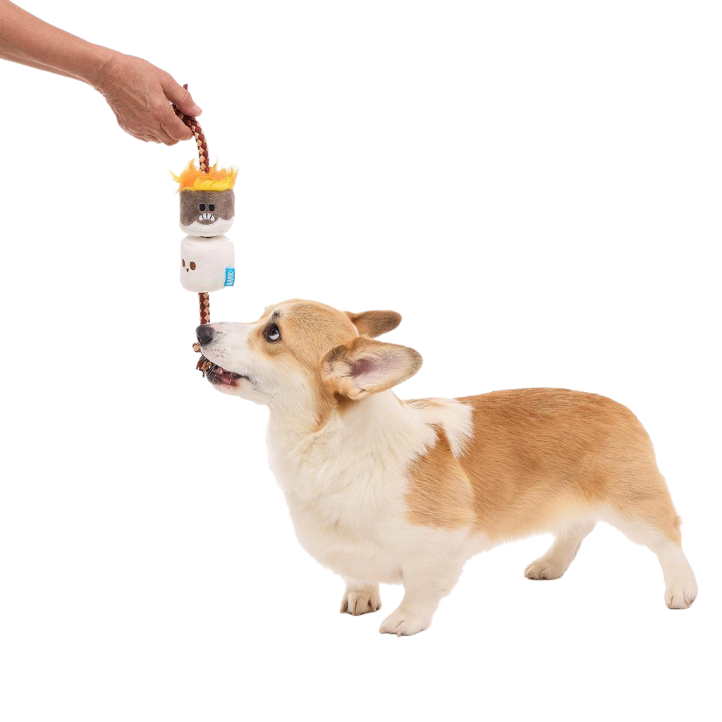 Tug Of S'more Plush Tug Dog Toy