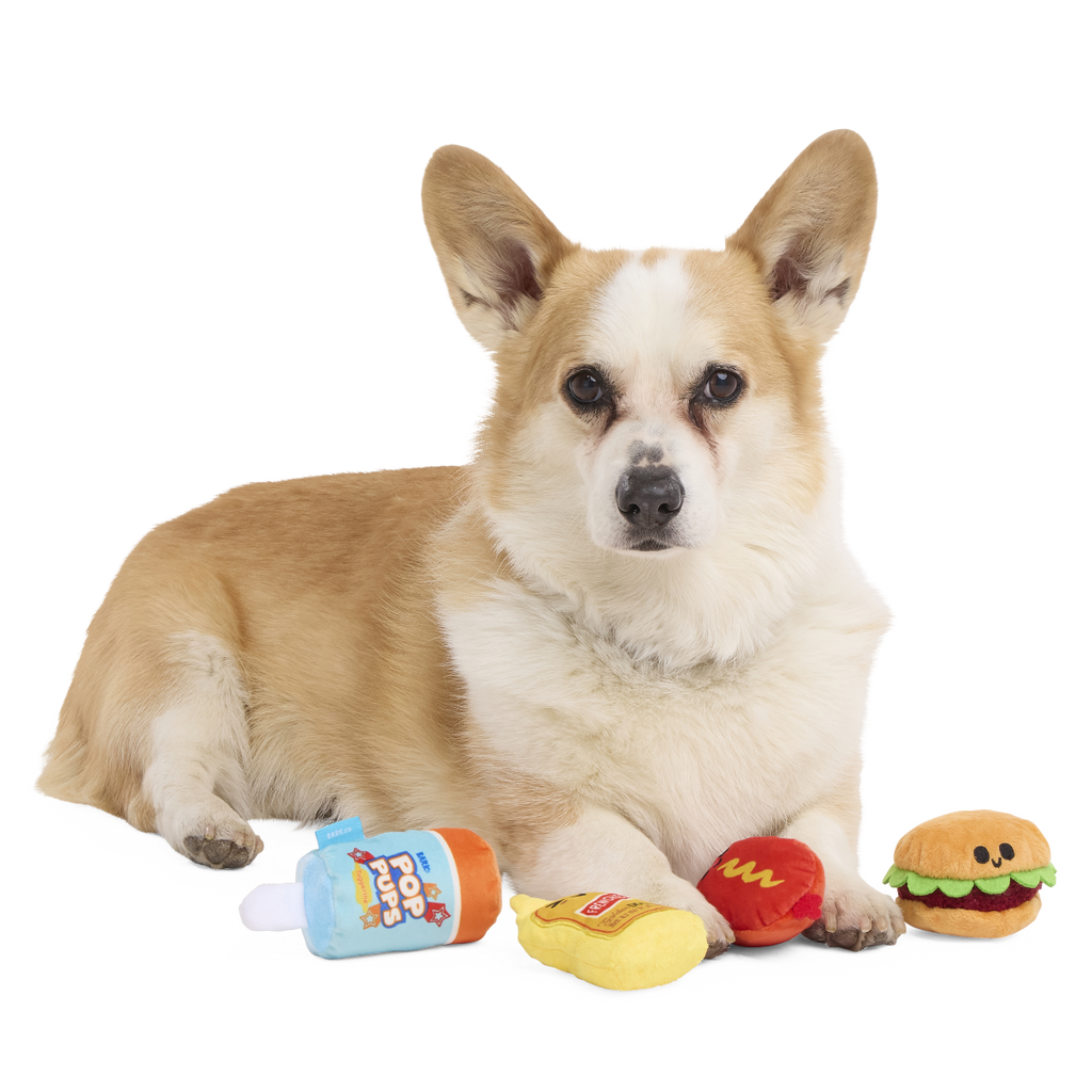 The Bark-B-Q Bunch Plush Multi-Part Dog Toy