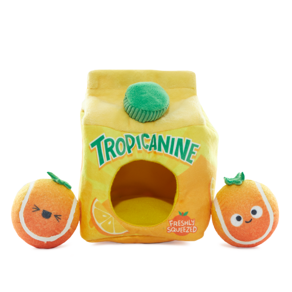 Fresh Squeaked OJ Plush Multi-Part + Enrichment + Fetch Dog Toy