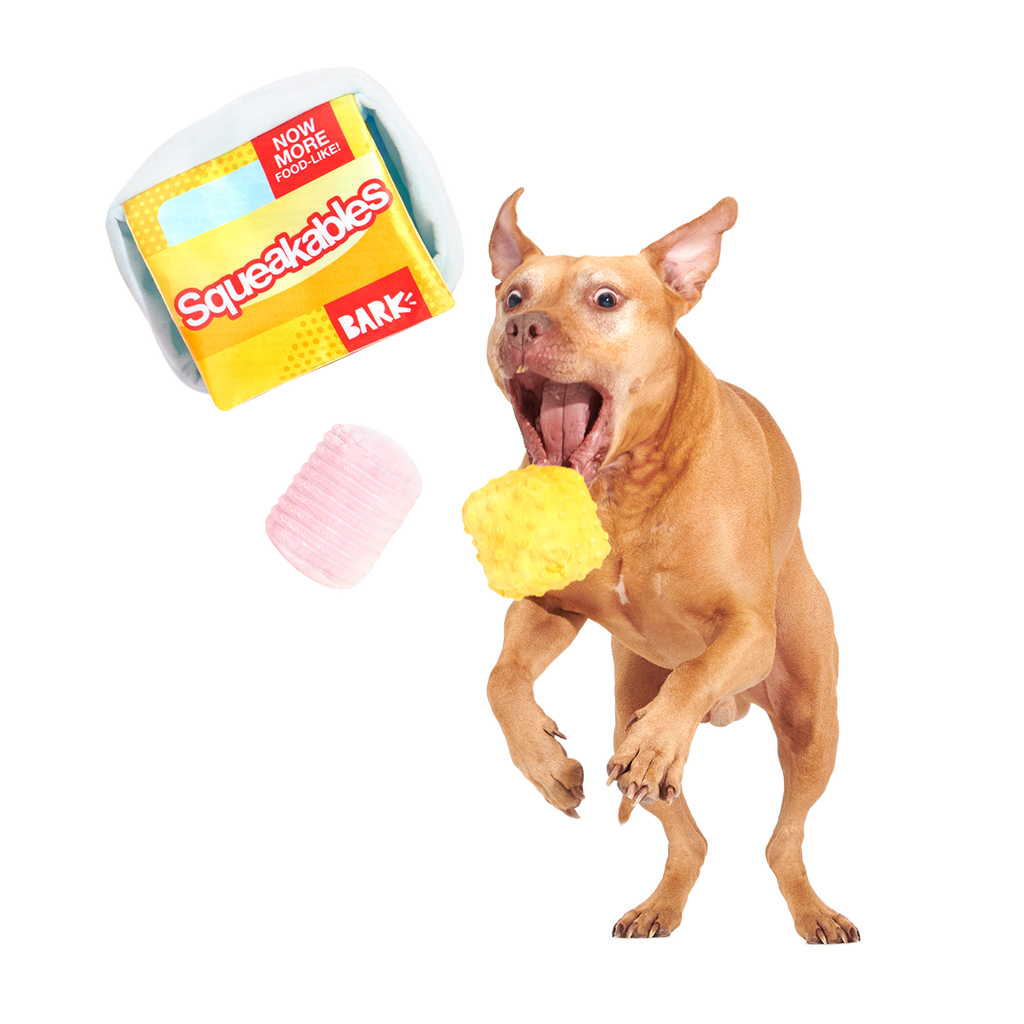 Squeakables Plush Multi-Part + Enrichment Dog Toy