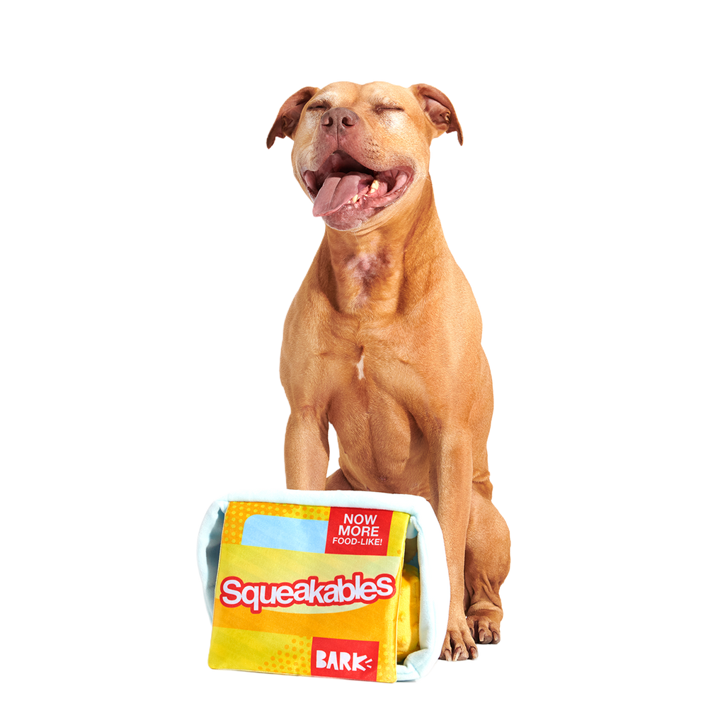 Squeakables Plush Multi-Part + Enrichment Dog Toy