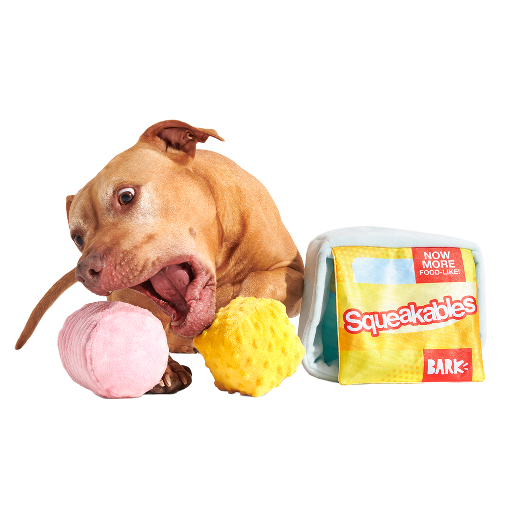 Squeakables Plush Multi-Part + Enrichment Dog Toy
