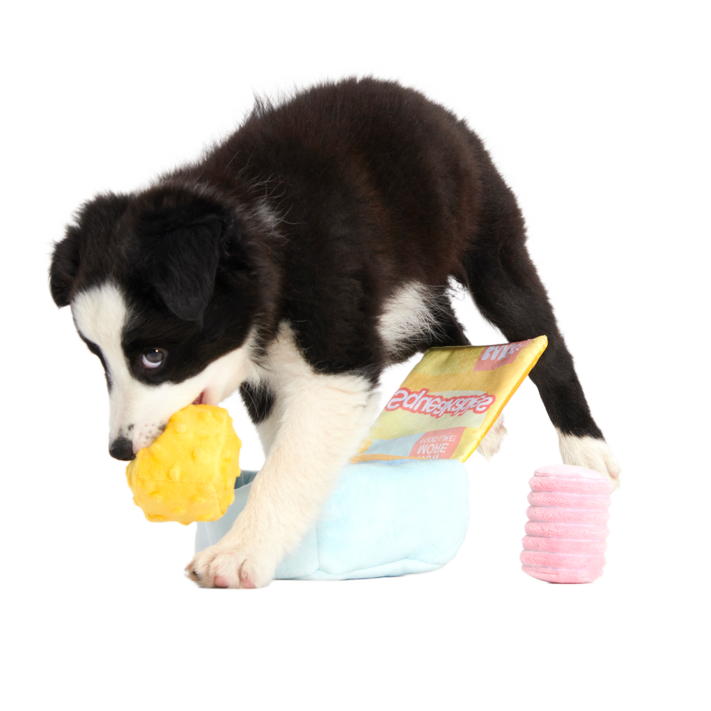 Squeakables Plush Multi-Part + Enrichment Dog Toy