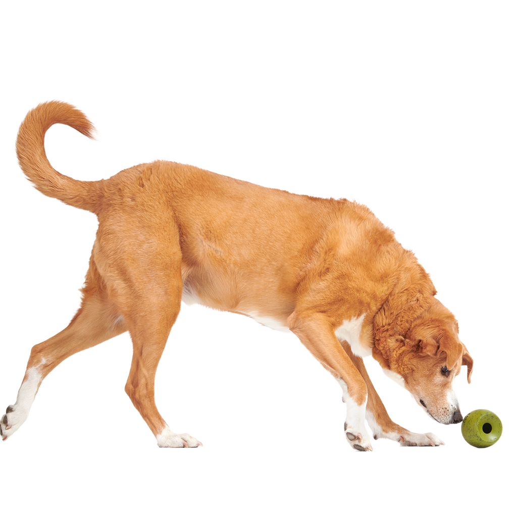 Stuffed Olive Super Chewer Durable Enrichment Dog Toy