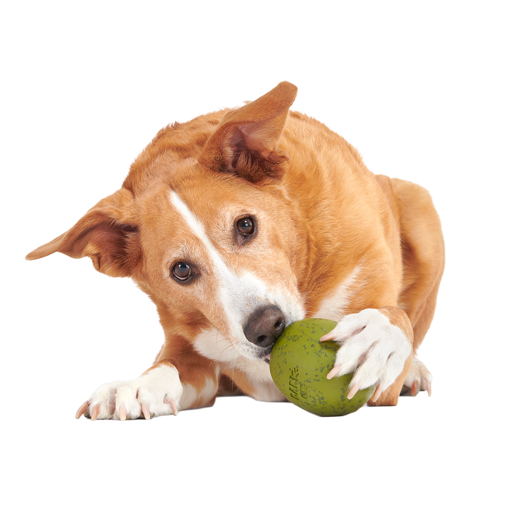 Stuffed Olive Super Chewer Durable Enrichment Dog Toy