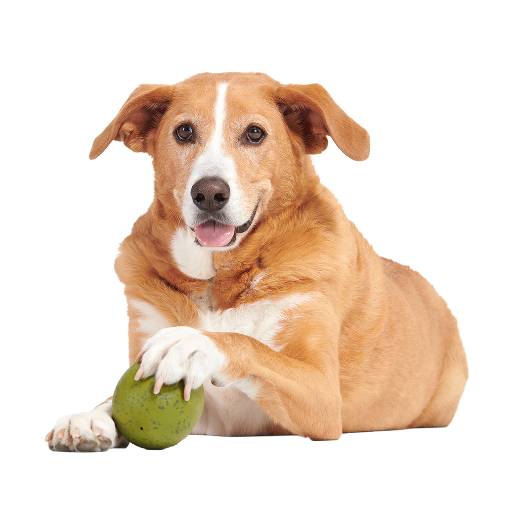 Stuffed Olive Super Chewer Durable Enrichment Dog Toy
