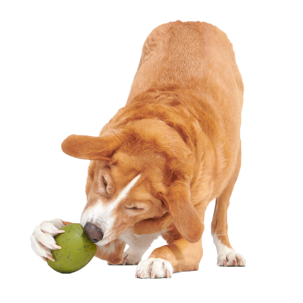 Stuffed Olive Super Chewer Durable Enrichment Dog Toy
