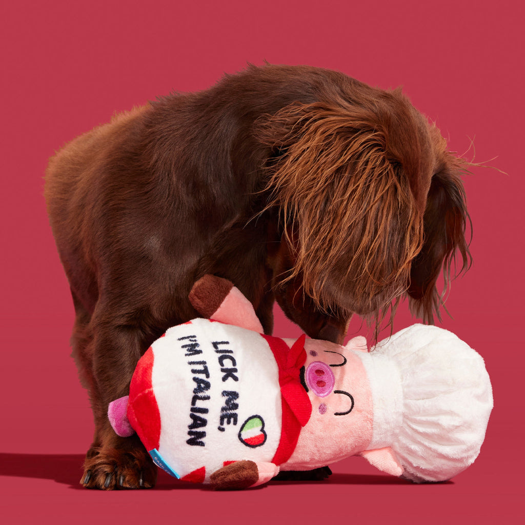 Tony Pupperoni Plush Tug Dog Toy