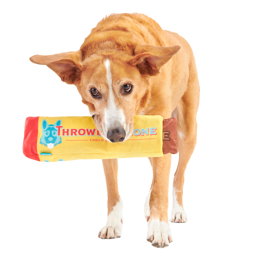 ThrowblerBone Plush Extra-Large + Multi-Part + Enrichment Dog Toy