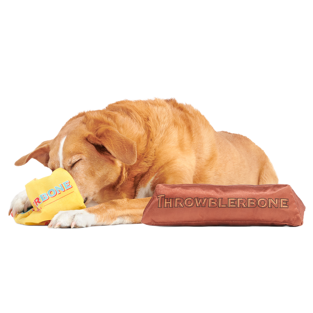 ThrowblerBone Plush Extra-Large + Multi-Part + Enrichment Dog Toy