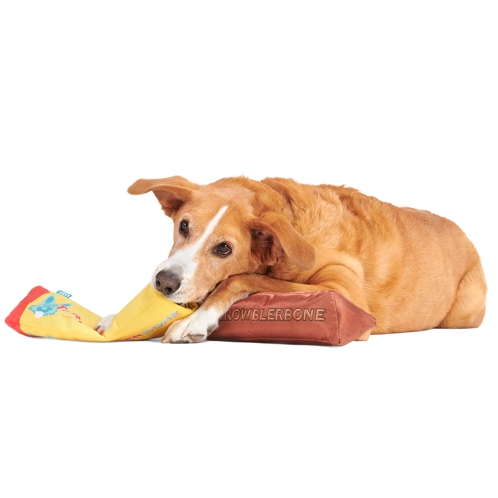 ThrowblerBone Plush Extra-Large + Multi-Part + Enrichment Dog Toy