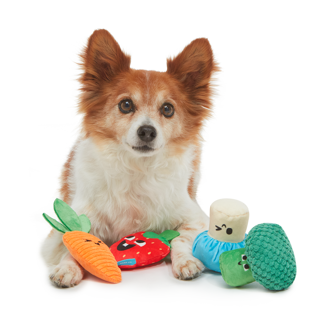 Veggie Patch Pals Plush Multi-Part Dog Toy