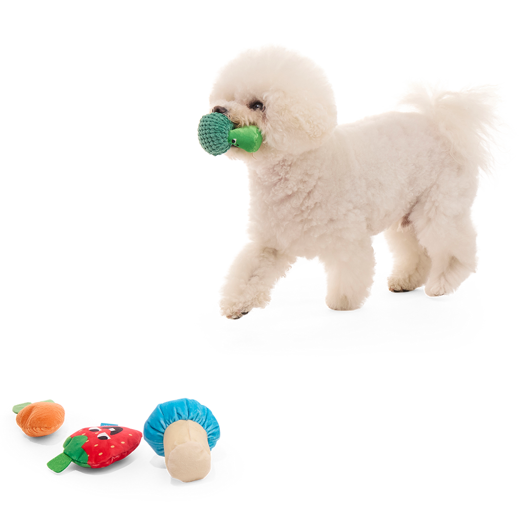 Veggie Patch Pals Plush Multi-Part Dog Toy