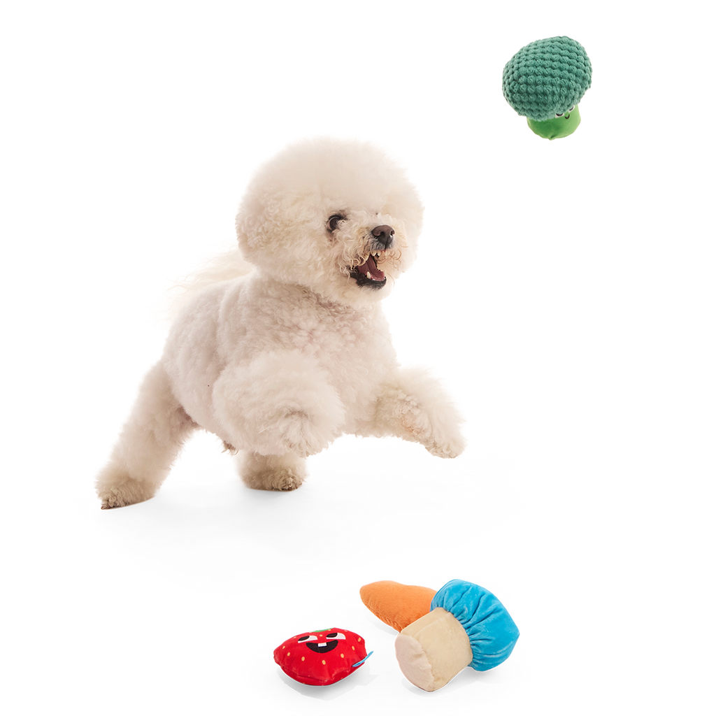 Veggie Patch Pals Plush Multi-Part Dog Toy