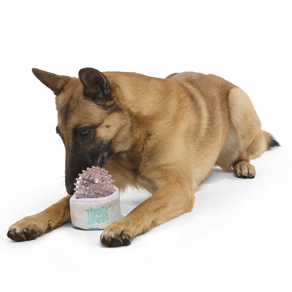 Yippin’ Spots Plush Multi-Part + Fetch + Enrichment Dog Toy