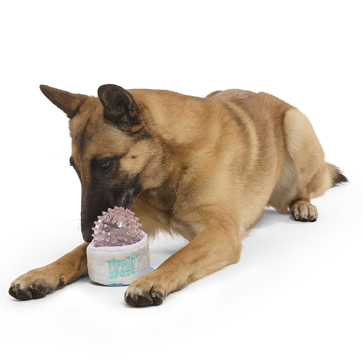 Yippin’ Spots Plush Multi-Part + Fetch + Enrichment Dog Toy