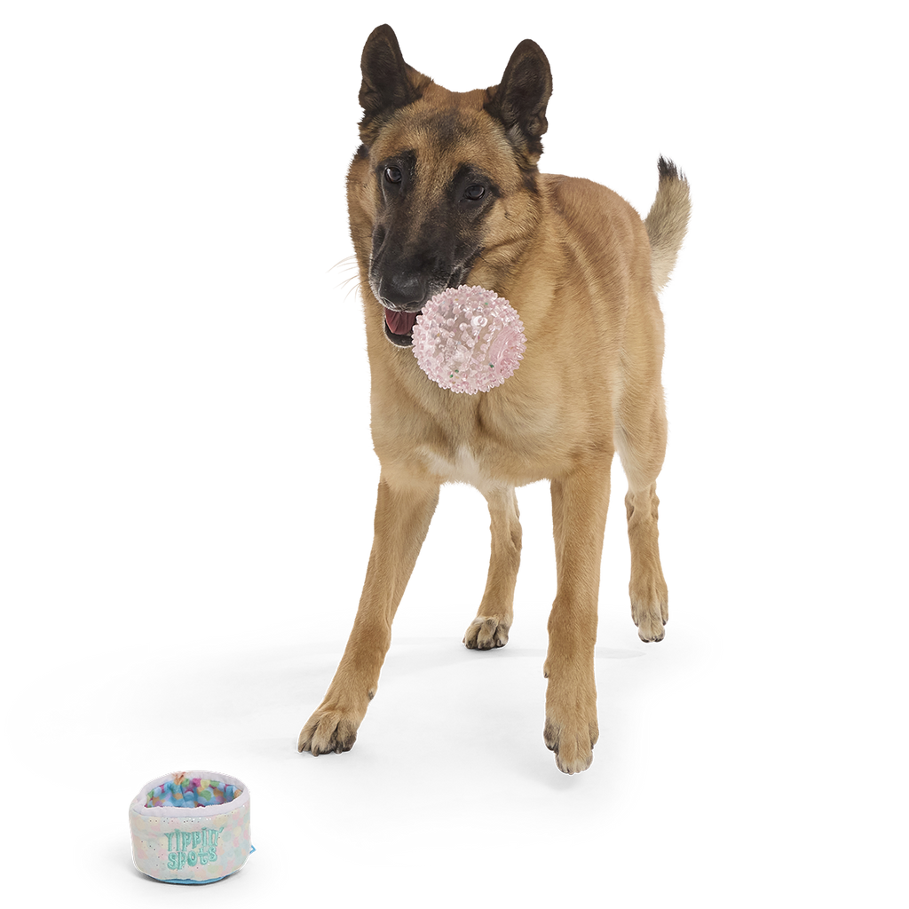 Yippin’ Spots Plush Multi-Part + Fetch + Enrichment Dog Toy