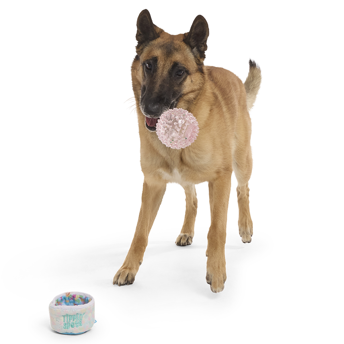 Yippin’ Spots Plush Multi-Part + Fetch + Enrichment Dog Toy