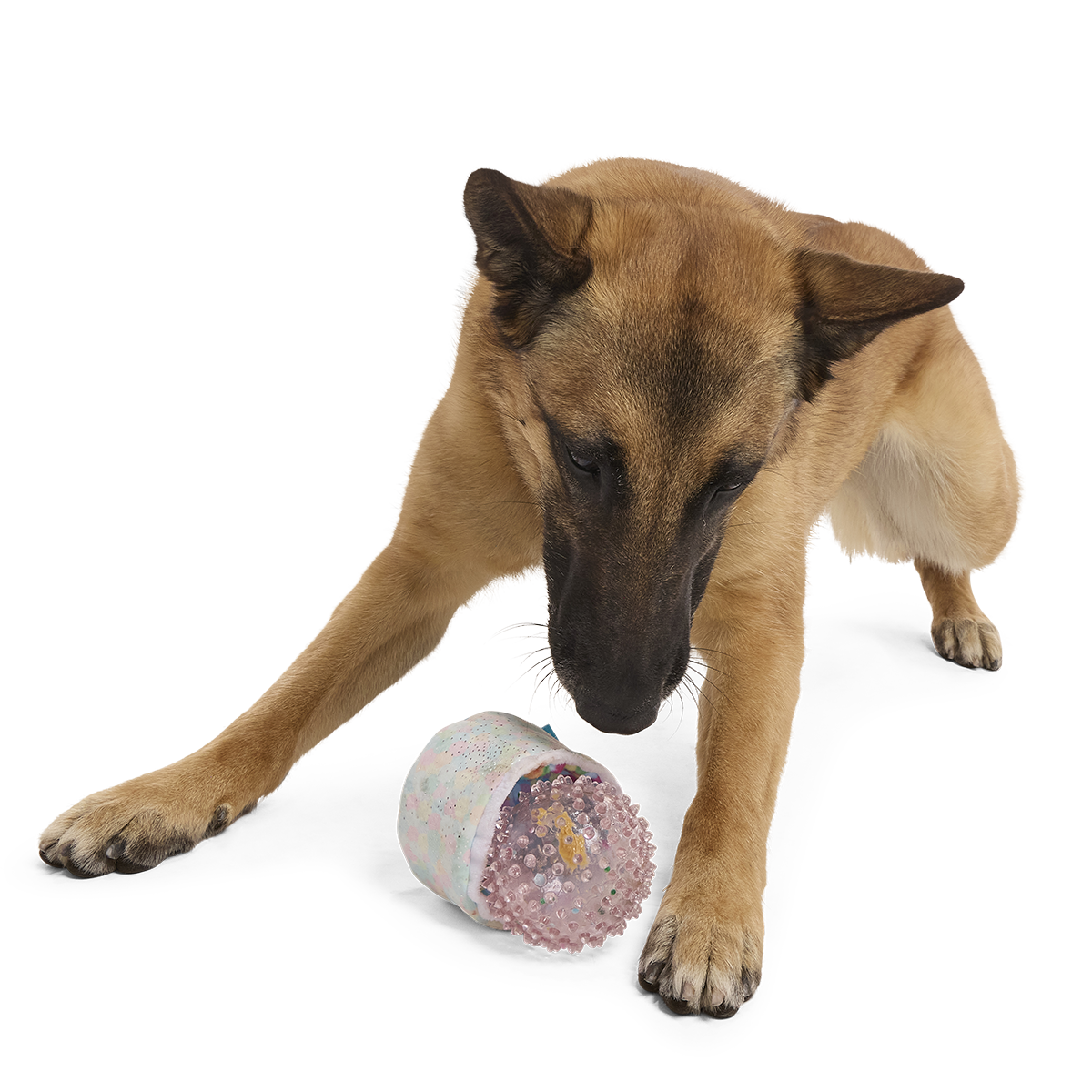 Yippin’ Spots Plush Multi-Part + Fetch + Enrichment Dog Toy