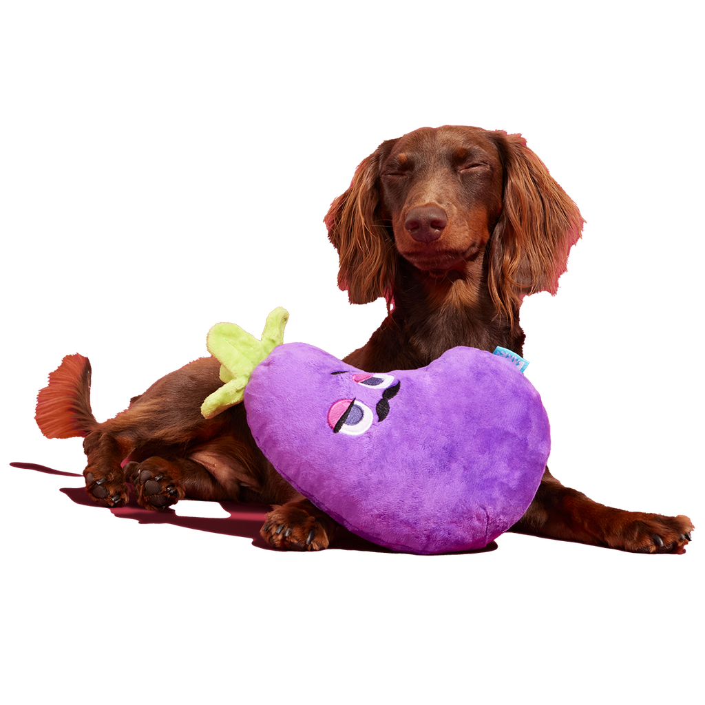 Big Babbo Plush Tug Dog Toy