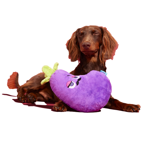 Big Babbo Plush Tug Dog Toy