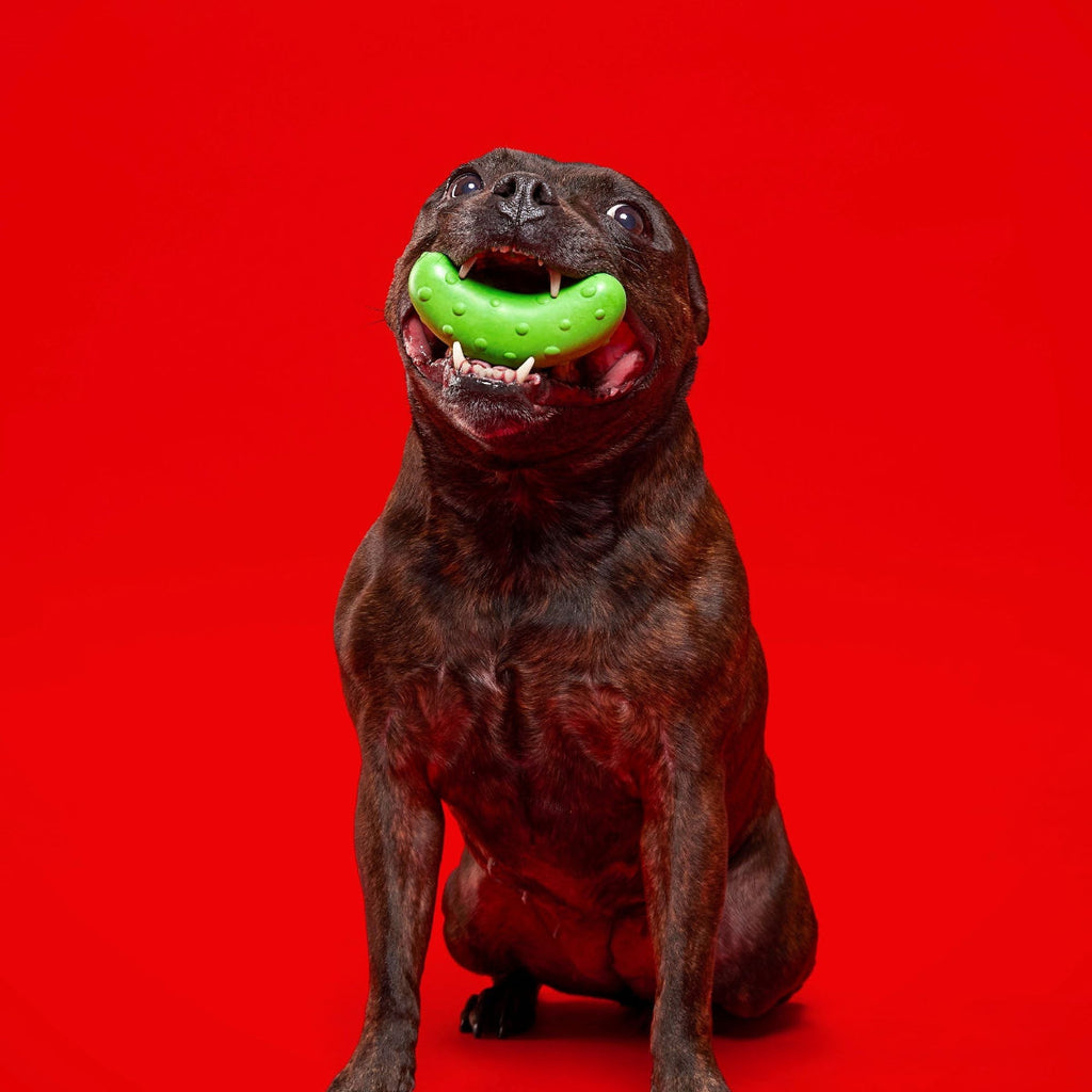 Pickle Stickle Super Chewer Durable Gnaw Dog Toy